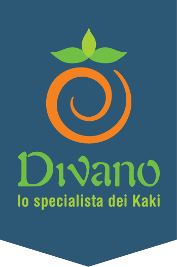 Divano Srl