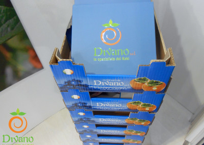 brochure-Divano-e-stand-al-Macfrut