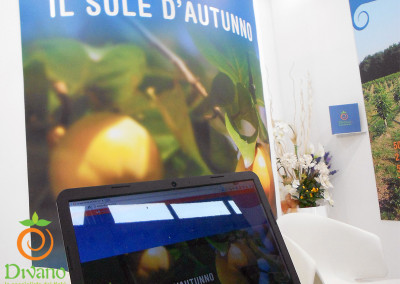 vendita-cachi-Italiaw-sito-web-Divano-al-Macfrut