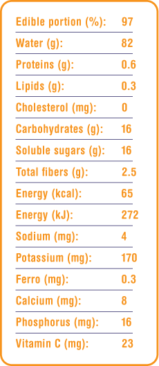 persimmon nutritional details