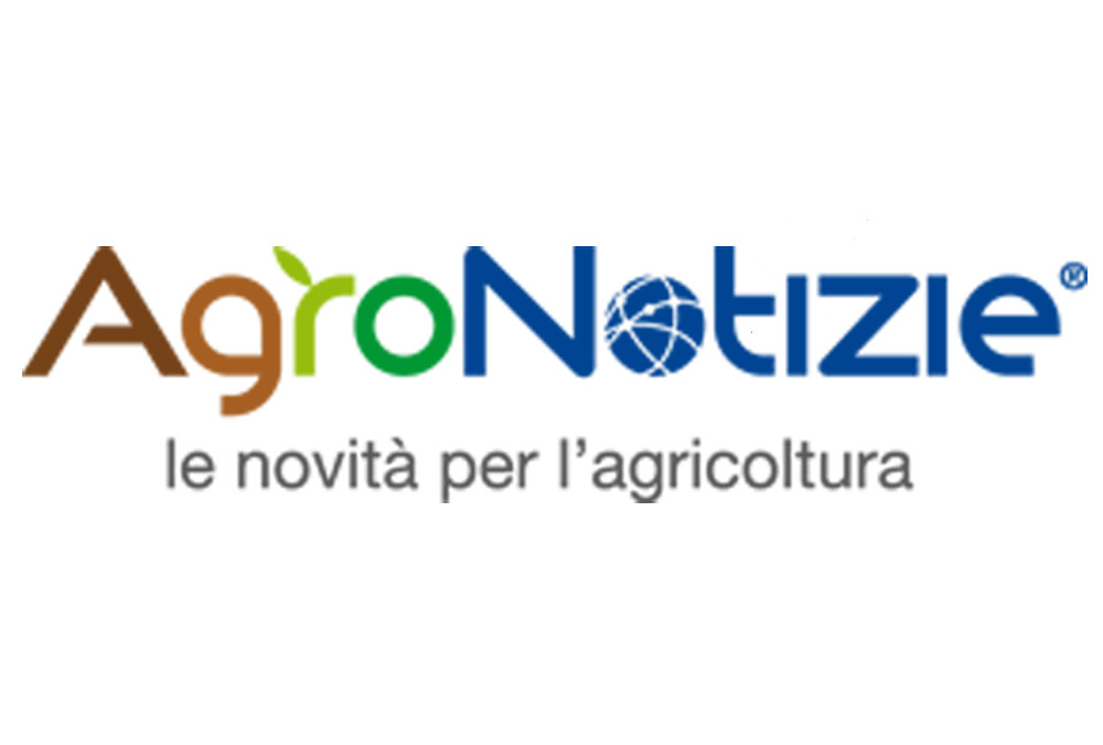 Campagna kaki 2015: Divano S.r.l. su Agronotizie