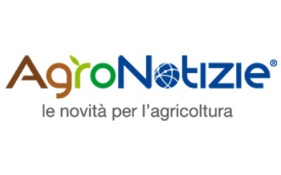 Campagna kaki 2015: Divano S.r.l. su Agronotizie